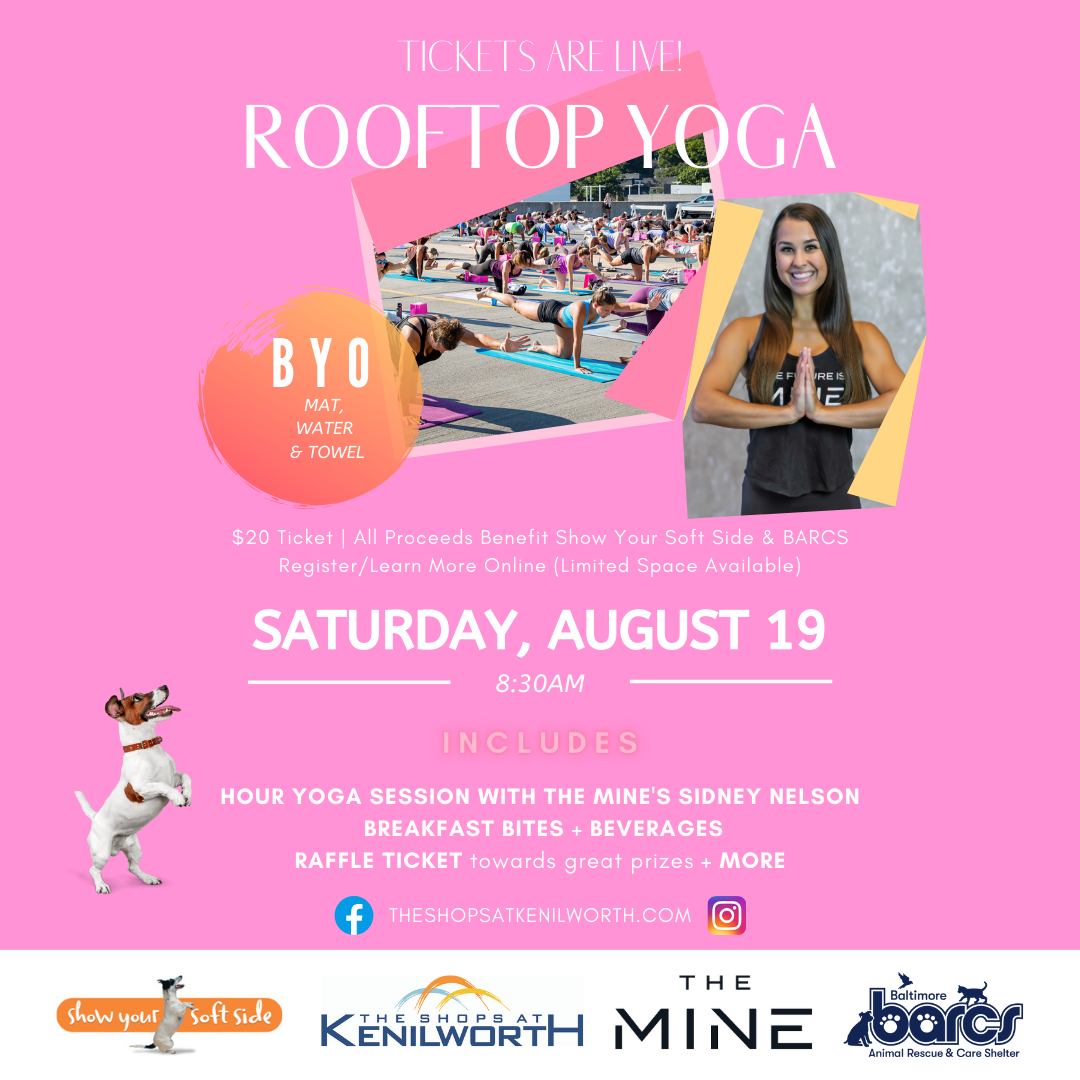 Rooftop Yoga, Saturday August 19