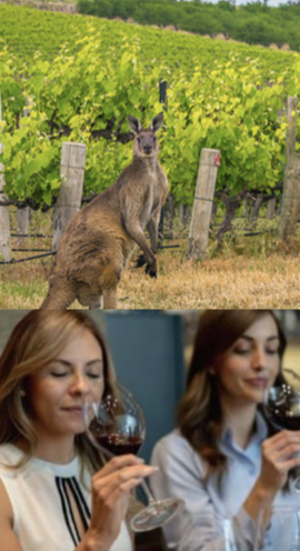 Wine 211 Class: Australian Wines